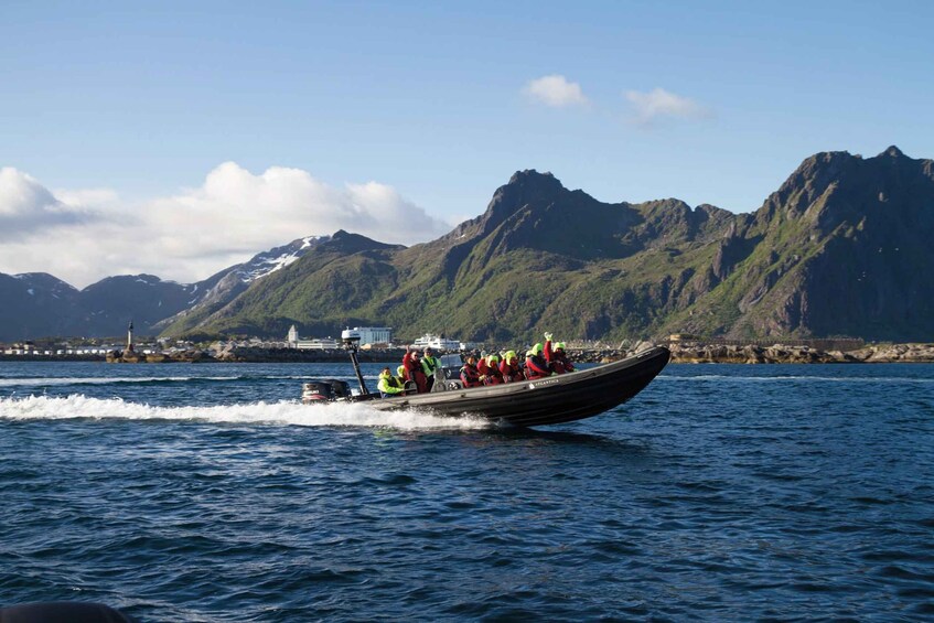 From Svolvær: RIB Sea Eagle Safari Trollfjord Cruise