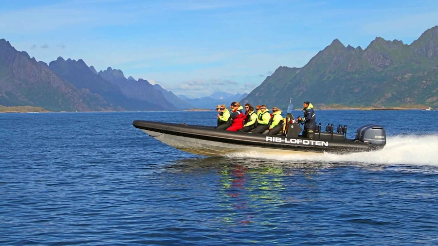 From Svolvær: RIB Sea Eagle Safari Trollfjord Cruise