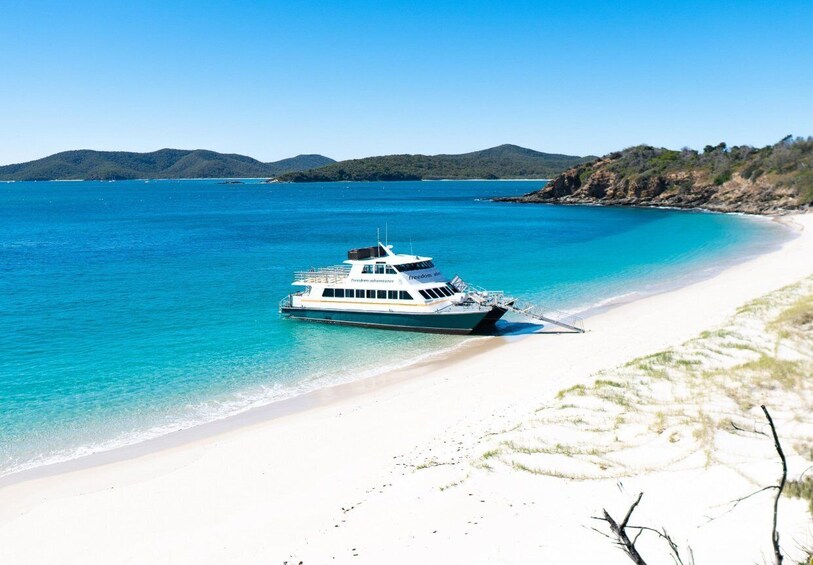 Picture 5 for Activity Great Keppel Island Snorkel and Boomnet Experience