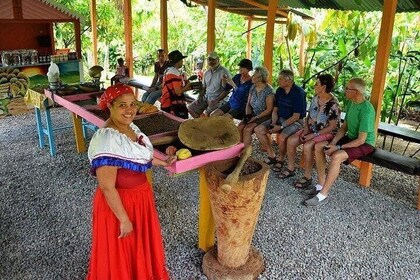 Experiencia cultural de Medio Día en Punta Cana