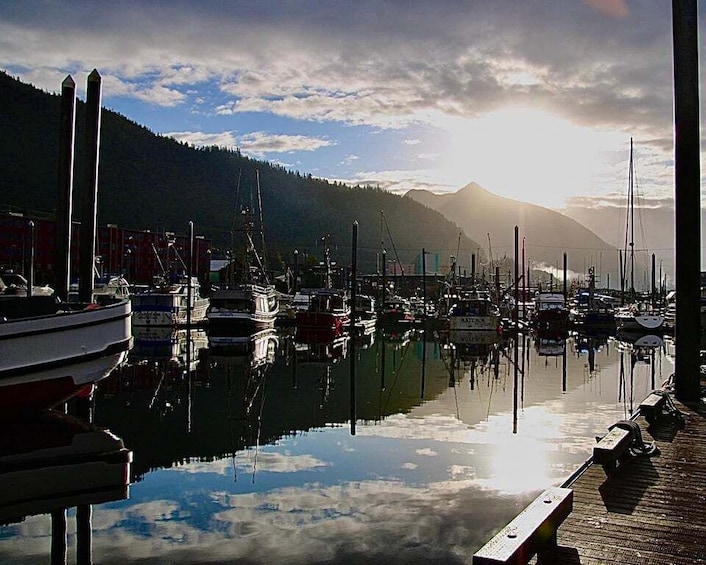 Picture 6 for Activity Ketchikan Photo Safari