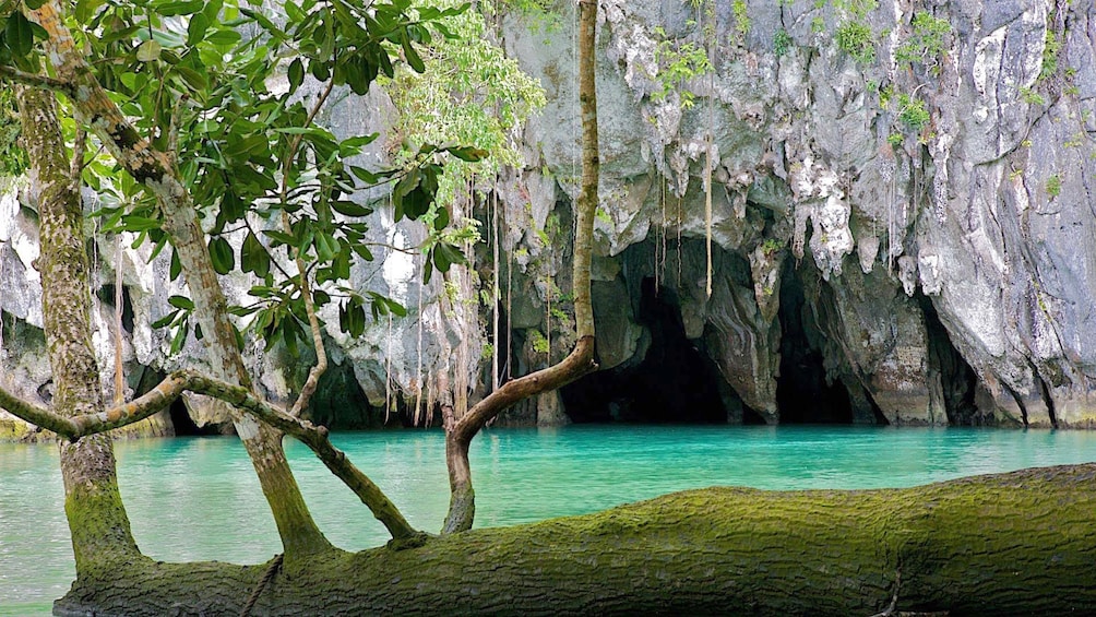 Sea cave entrance in Cebu