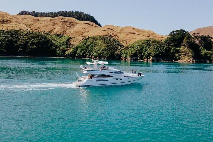  Private Yacht Cruise in the Marlborough Sounds New Zealand