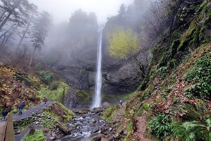 Explore Columbia River Gorge Half-Day Small-Group Hiking Tour