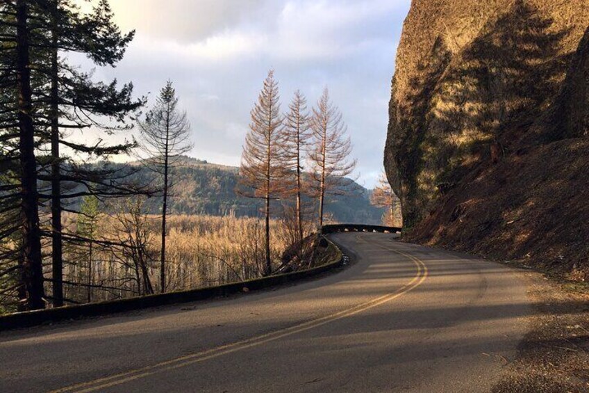 Explore Columbia River Gorge Half-Day Small-Group Hiking Tour