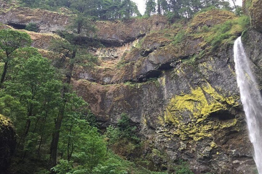 Explore Columbia River Gorge Half-Day Small-Group Hiking Tour