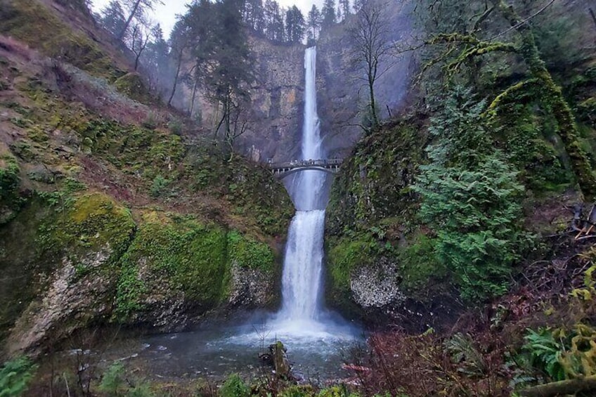 Explore Columbia River Gorge Half-Day Small-Group Hiking Tour