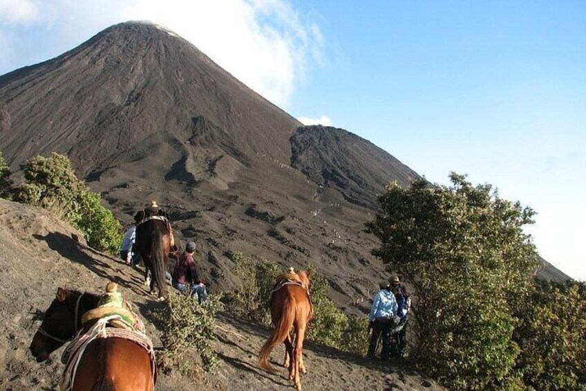 Horse ride. Climbing volcano.