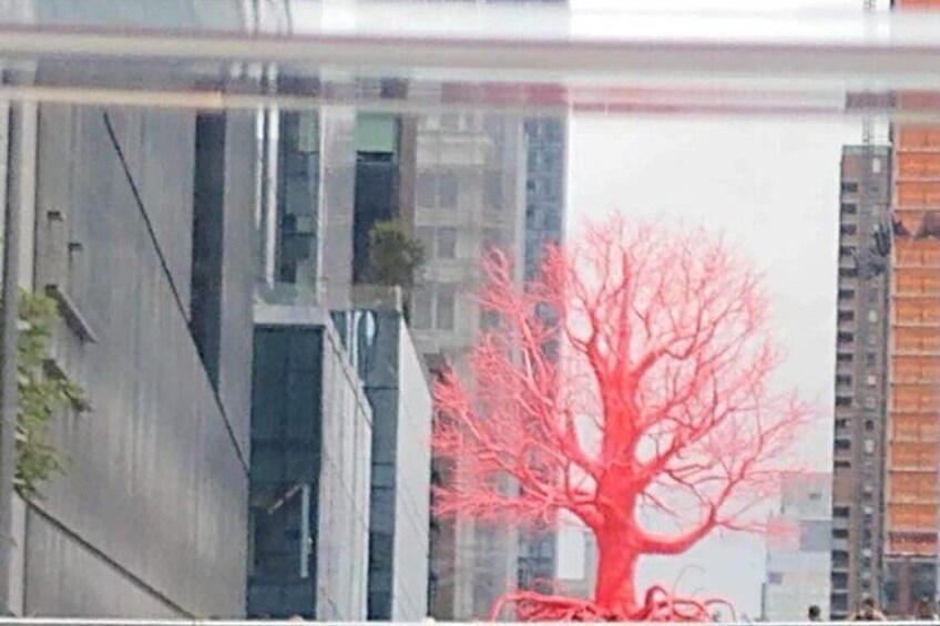 Have you seen this Red Tree in New York City?Who's the Artist? KLUB CART TOURS has answers.....Hurry and book your Tour. They say it's displayed for a limited time.