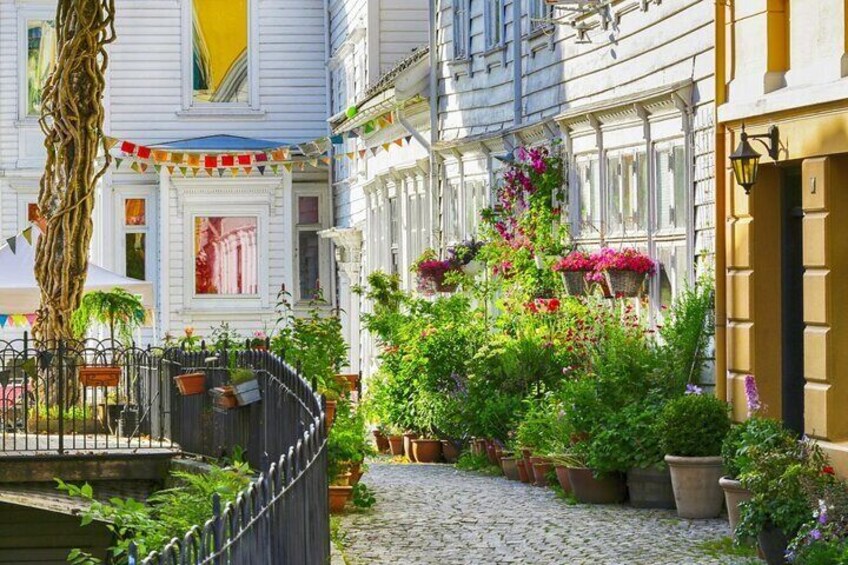 Two Hour Private Walking Tour of the Best of Bergen!