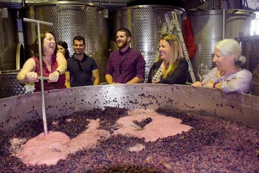 Mornington Peninsula Winery Tour Including Wine Tastings and 2-Course Lunch