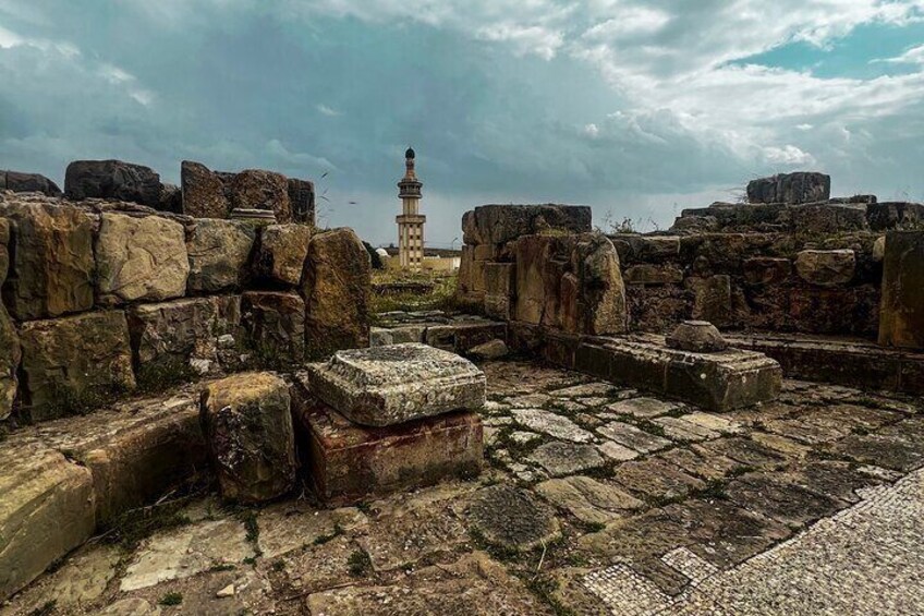 Private Day Trip to Bulla Regia, Tastur and Dougga