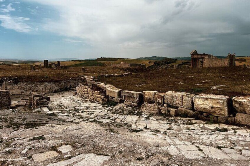 Private Day Trip to Bulla Regia, Tastur and Dougga