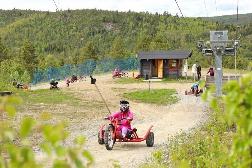 Racing Mountain Cart in Dagali near Geilo, Norway