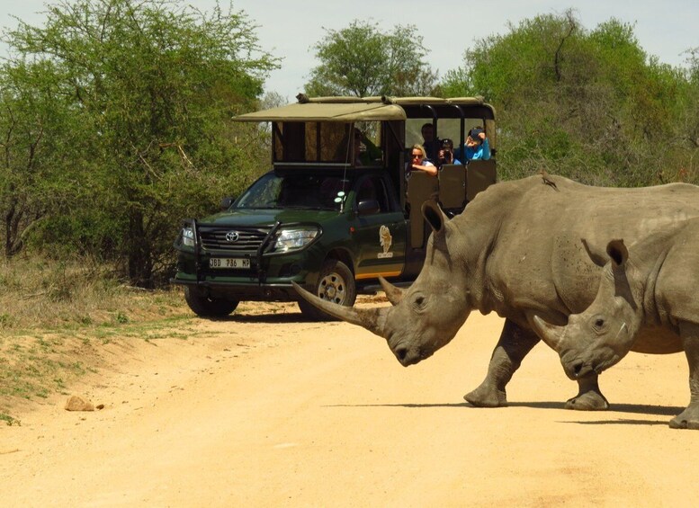 Picture 3 for Activity Kruger National Park: Morning Safari