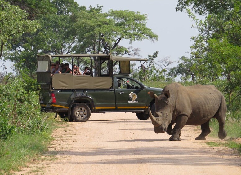 Picture 2 for Activity Kruger National Park: Morning Safari