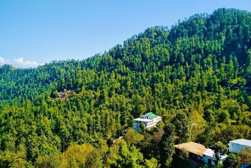 Full Day Private Murree Nathiagali Tour 