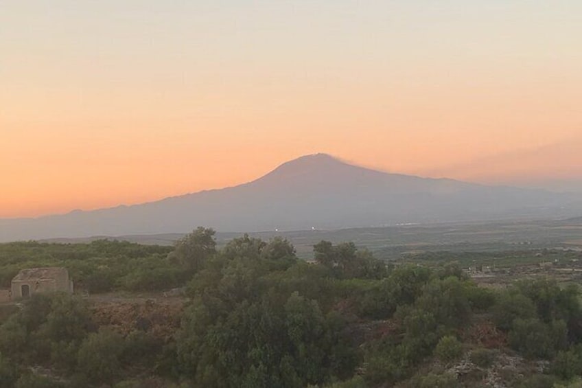 Discover the Authentic Sicilian Cuisine with Amazing view! 