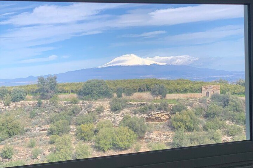 Discover the Authentic Sicilian Cuisine with Amazing view! 