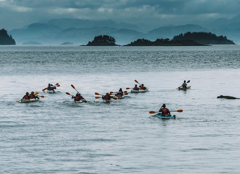 Telegraph Cove: 2 Hour Family Fun Kayaking Tour