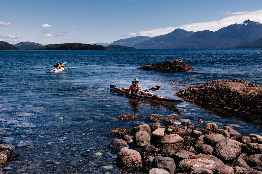 Picture 4 for Activity Telegraph Cove: 2 Hour Family Fun Kayaking Tour
