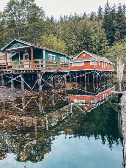 Picture 1 for Activity Telegraph Cove: 2 Hour Family Fun Kayaking Tour