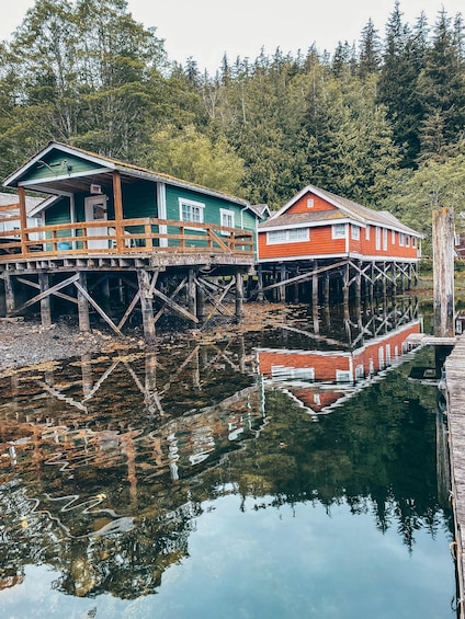 Picture 1 for Activity Telegraph Cove: 2 Hour Family Fun Kayaking Tour