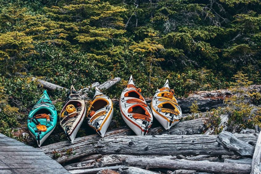 Picture 7 for Activity Telegraph Cove: 2 Hour Family Fun Kayaking Tour
