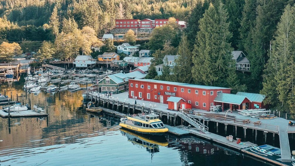 Picture 7 for Activity Telegraph Cove: 2 Hour Evening Kayak Tour