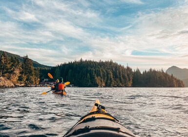 Telegraph Cove: recorrido nocturno en kayak de 2 horas