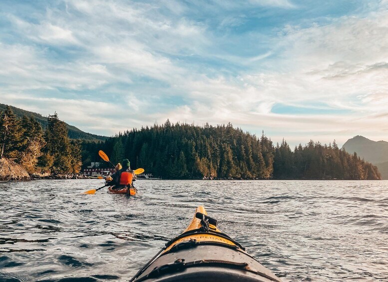 Telegraph Cove: 2 Hour Evening Kayak Tour