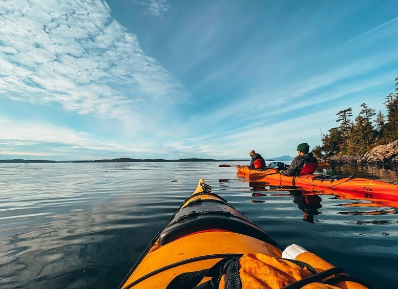 Picture 6 for Activity Telegraph Cove: 2 Hour Evening Kayak Tour