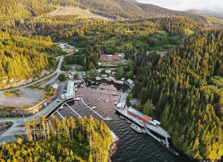 Picture 4 for Activity Telegraph Cove: Half-Day Kayaking Tour