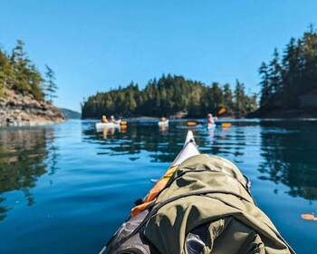 Telegraph Cove: tour de medio día en kayak