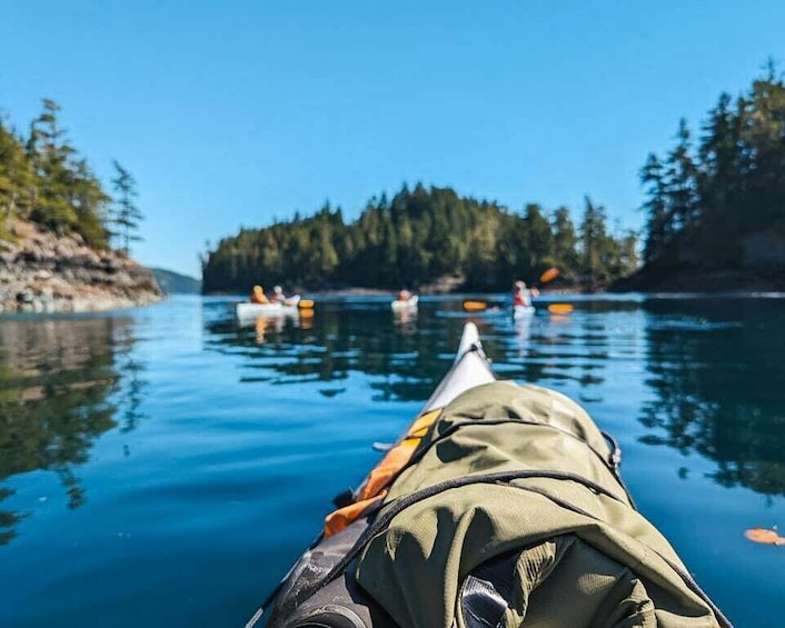 Telegraph Cove: Half-Day Kayaking Tour
