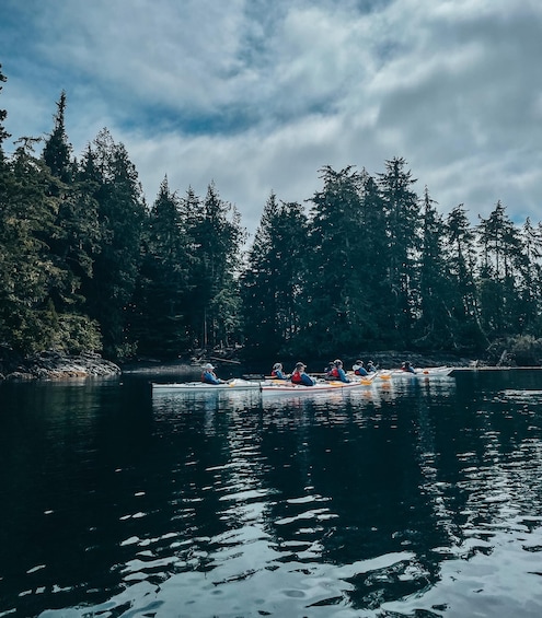 Picture 1 for Activity Telegraph Cove: Half-Day Kayaking Tour