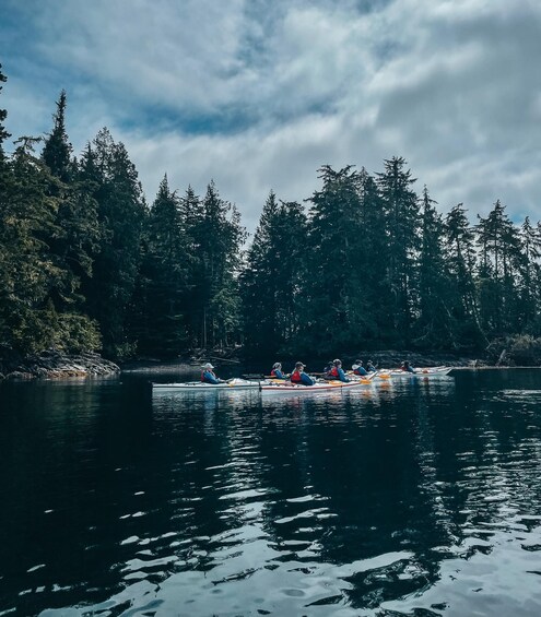Picture 1 for Activity Telegraph Cove: Half-Day Kayaking Tour