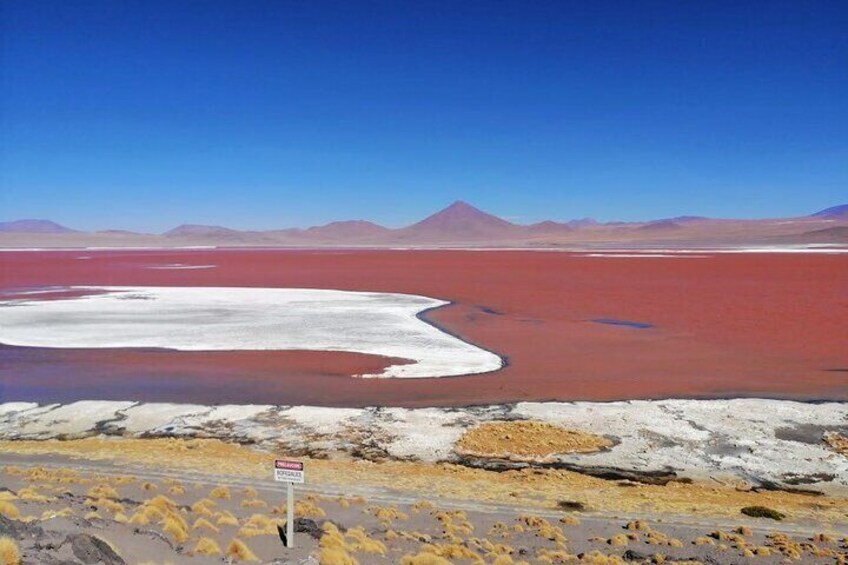 Private Full Day Tour to Red Lagoon and Lipez Region From Uyuni
