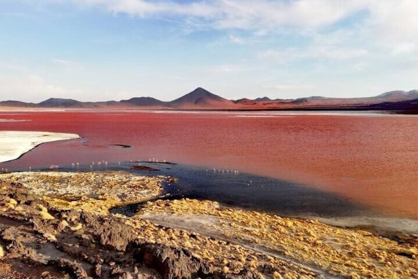 Private Full Day Tour to Red Lagoon and Lipez Region From Uyuni