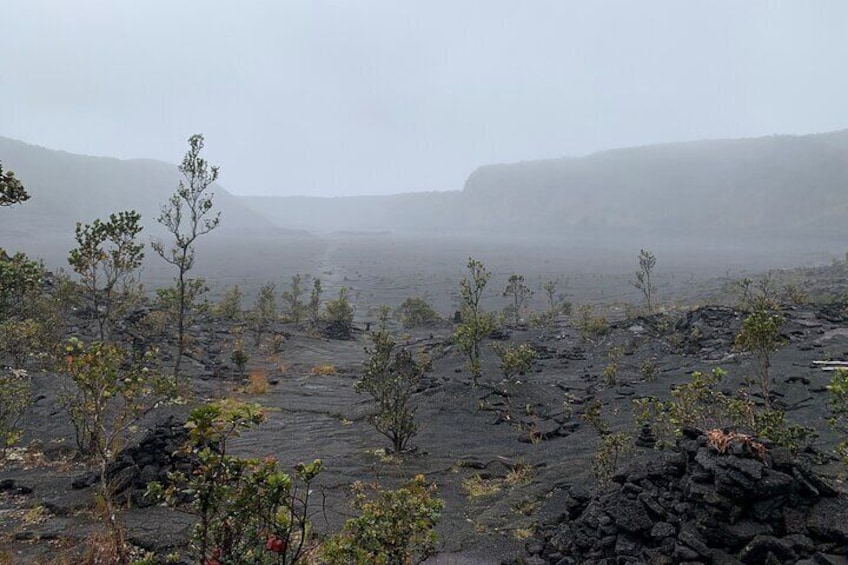Kilauea Iki in mist