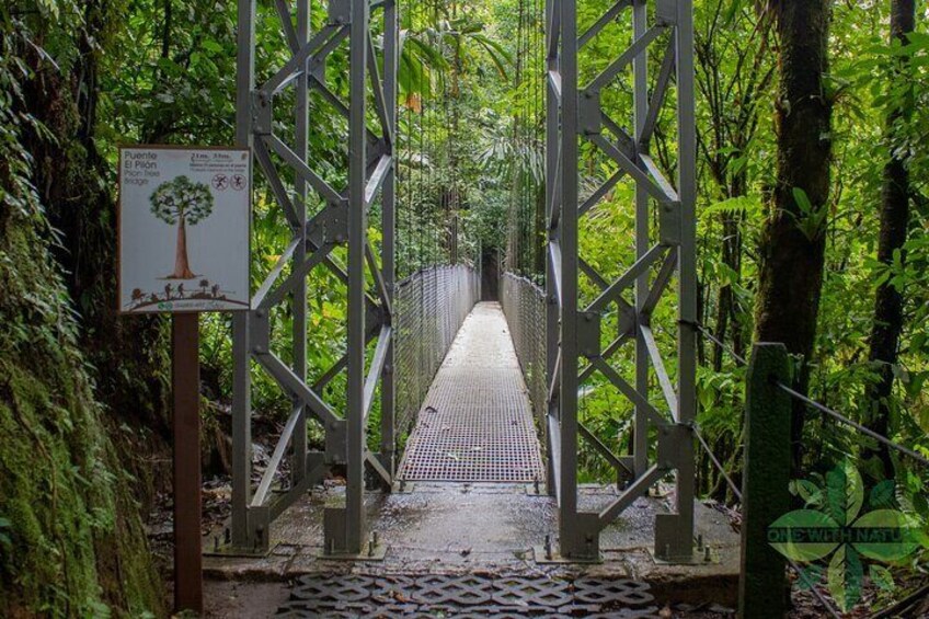 La Fortuna's 3 Essentials Private Tour