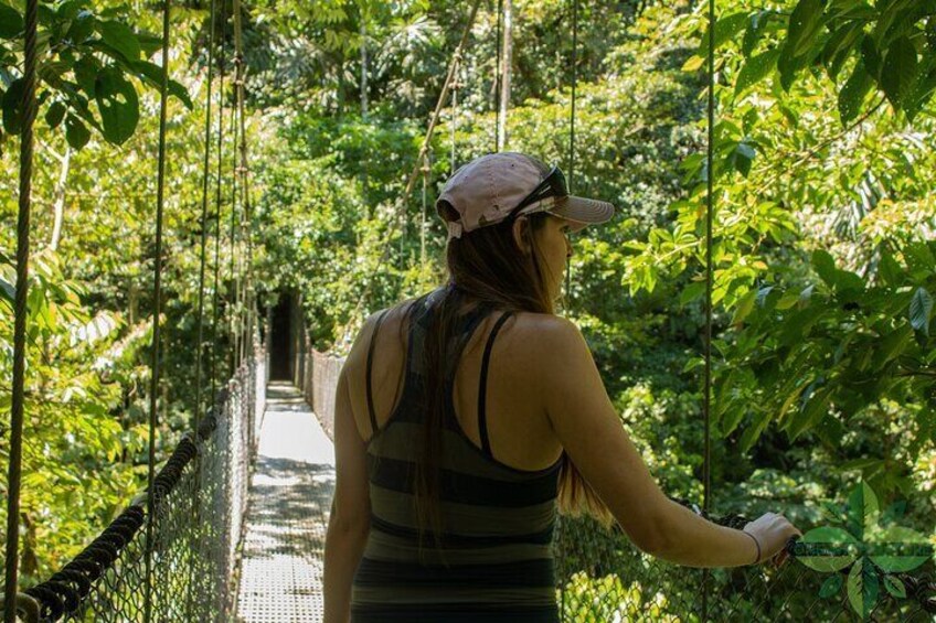 La Fortuna's 3 Essentials Private Tour