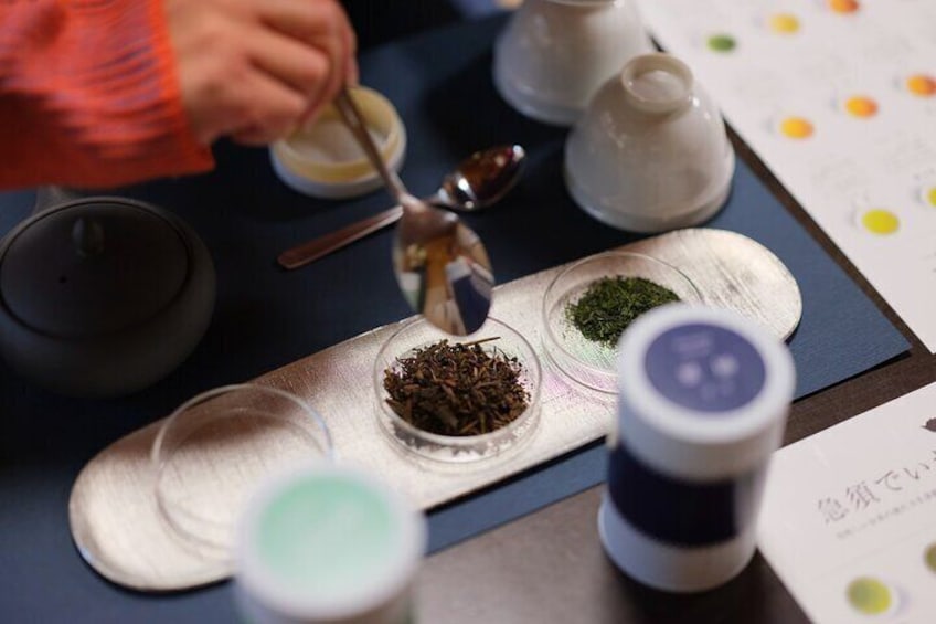 Experience Japanese Tea with a Teapot in Takayama