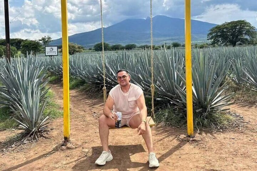 Visit to Tequila and Horseback Riding Among the Agave Landscape