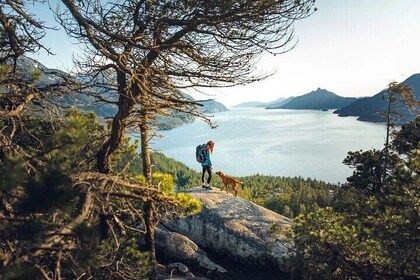 Shannon fall, Quercus Point and Squamish city Private tour