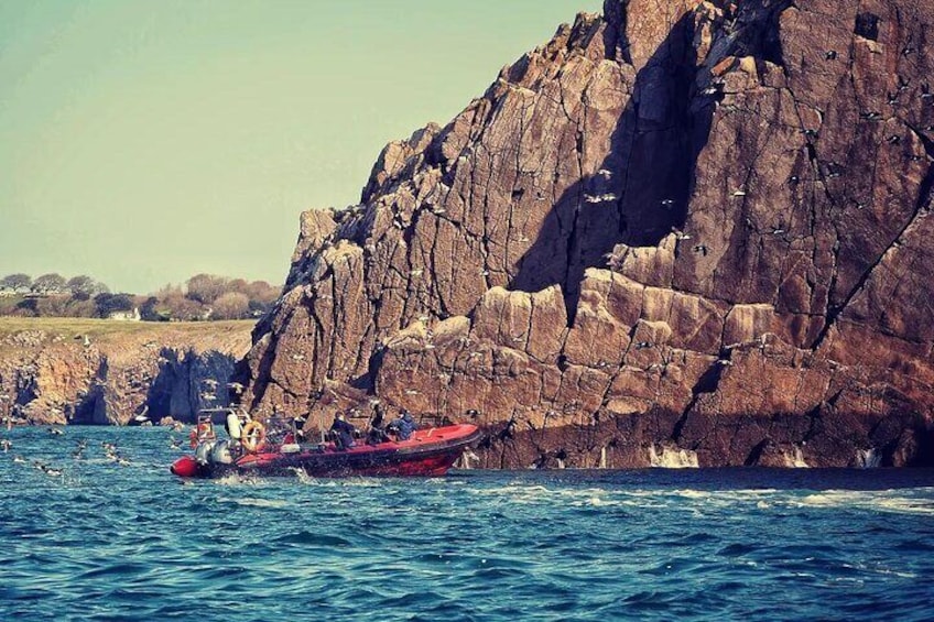 90 Minute Coastal Explorer in Torquay