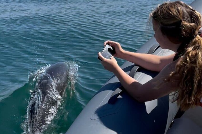 90 Minute Coastal Explorer in Torquay