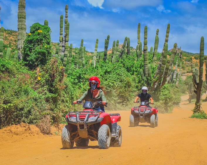 ATV Expedition through Desert and Beach