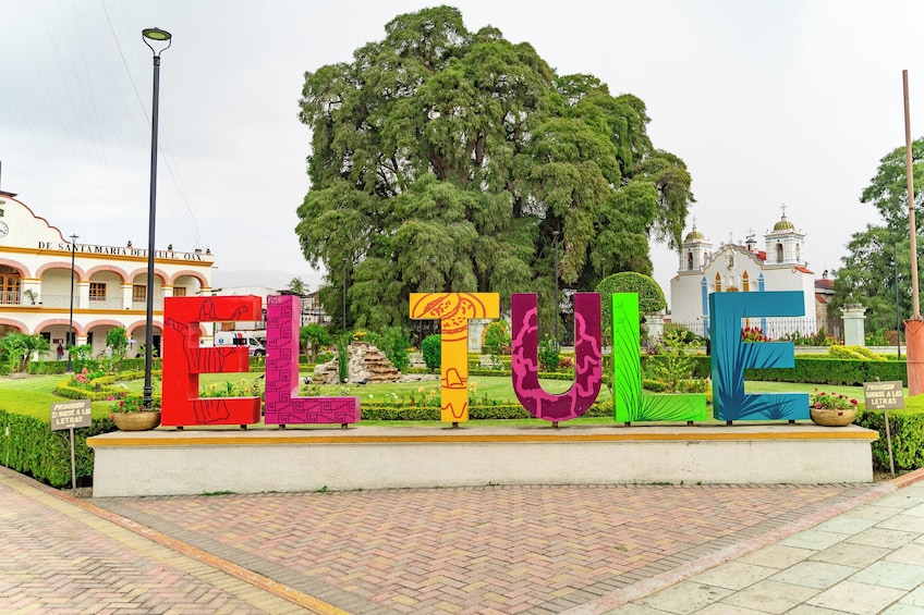  Mitla Archaeological Marvels, Ancient Trees, Weaving and Mezcal Delight