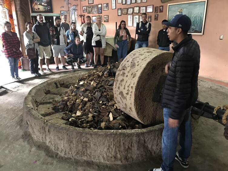 Mitla weaving, Archaeological Marvels, Ancient Trees and Mezcal Delight